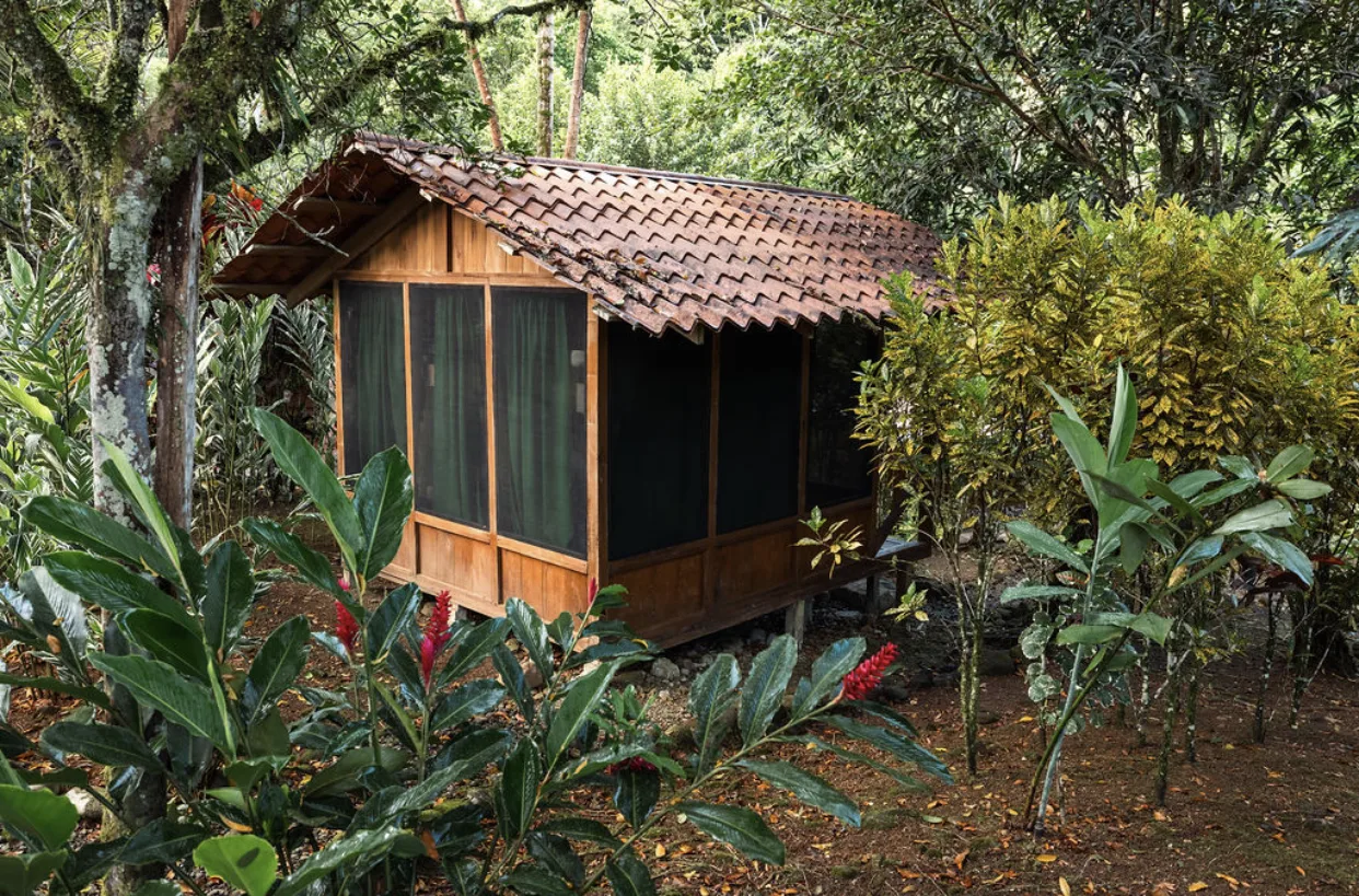 Pacuare River Ecolodge cabin in lush tropical forest