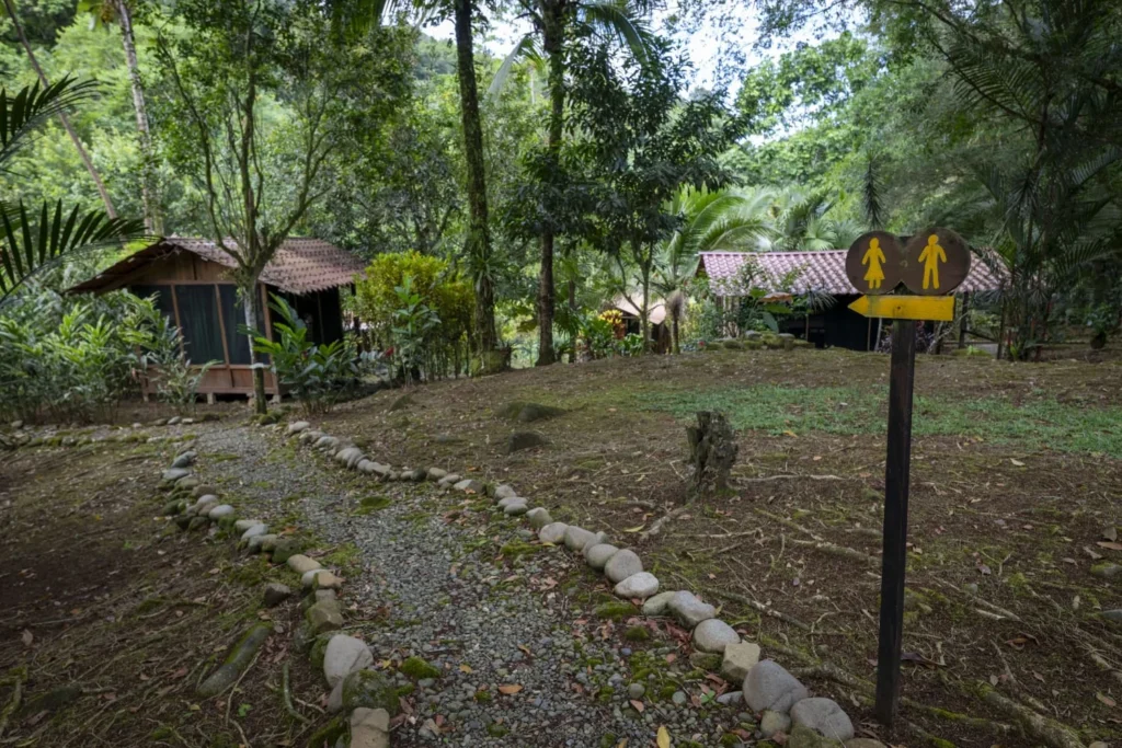 Pacuare River Ecolodge cabins amidst lush forest