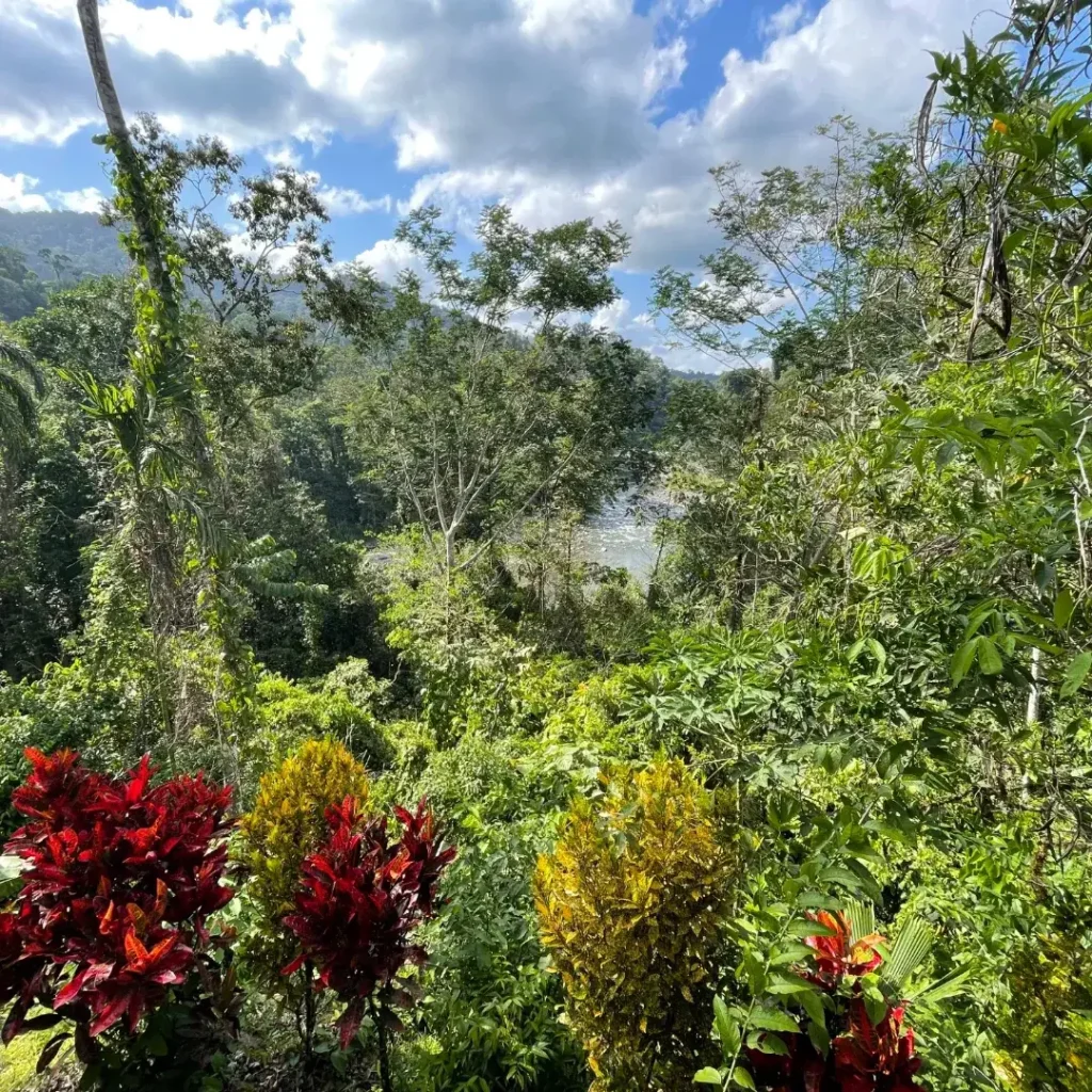 Pacuare River Ecolodge lush greenery and vibrant plants