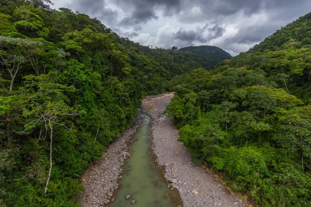 Aerial view of Pacuare River surrounded by dense rainforest under a cloudy sky, showcasing natural beauty.