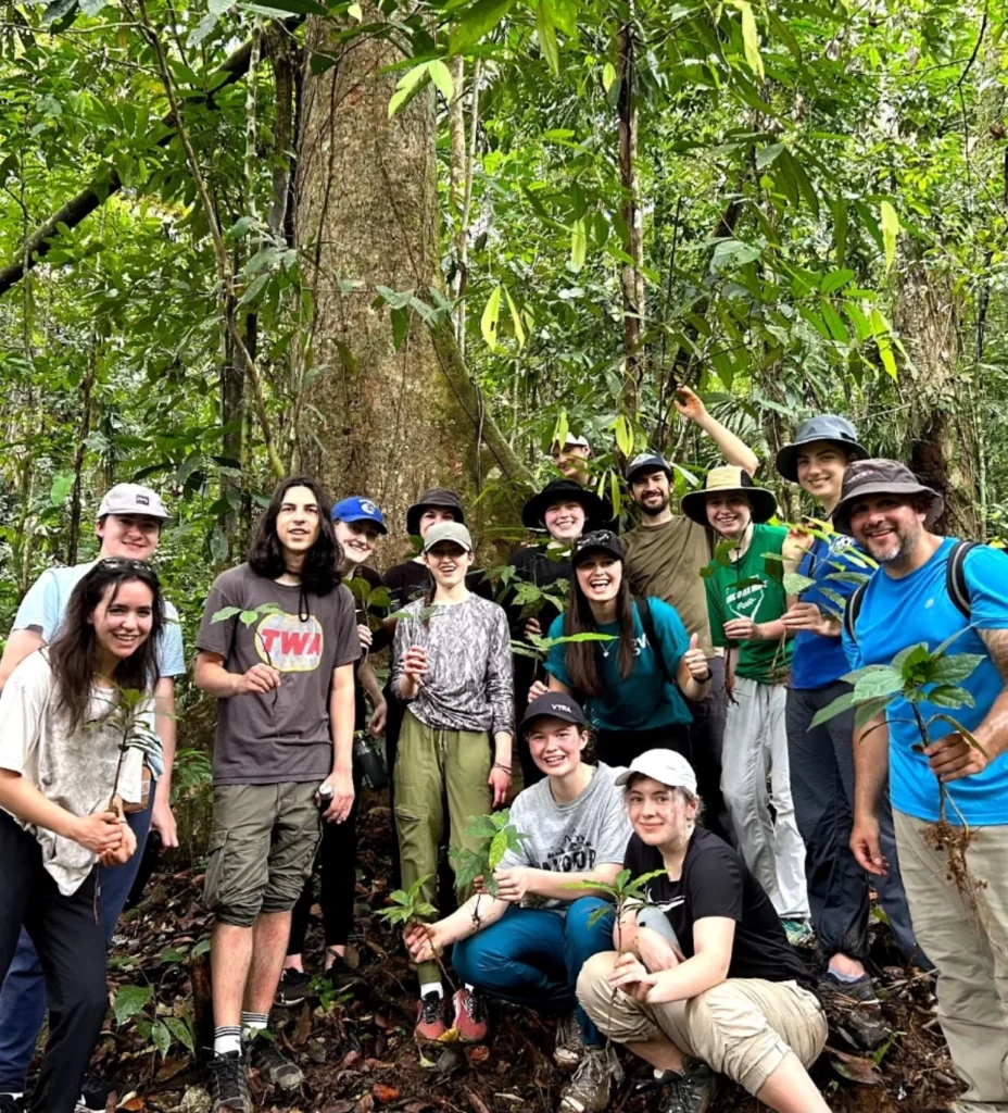 Group of people planting trees in lush rainforest