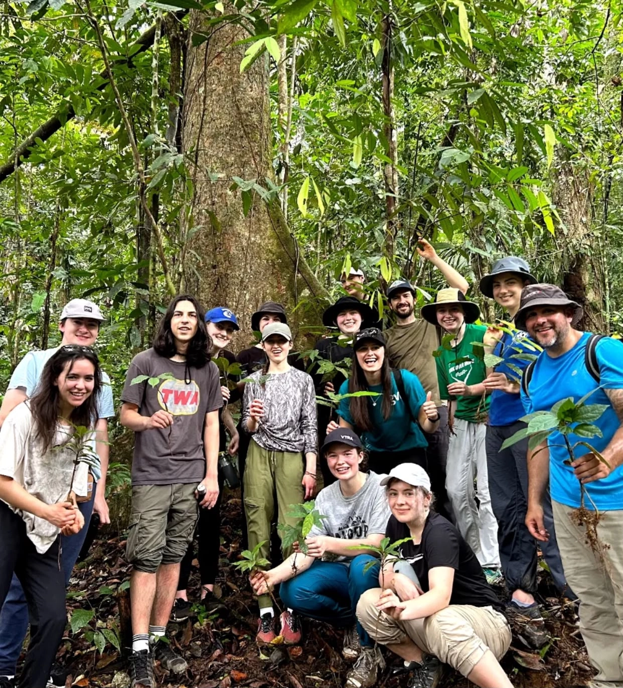 Group of people planting trees in lush rainforest