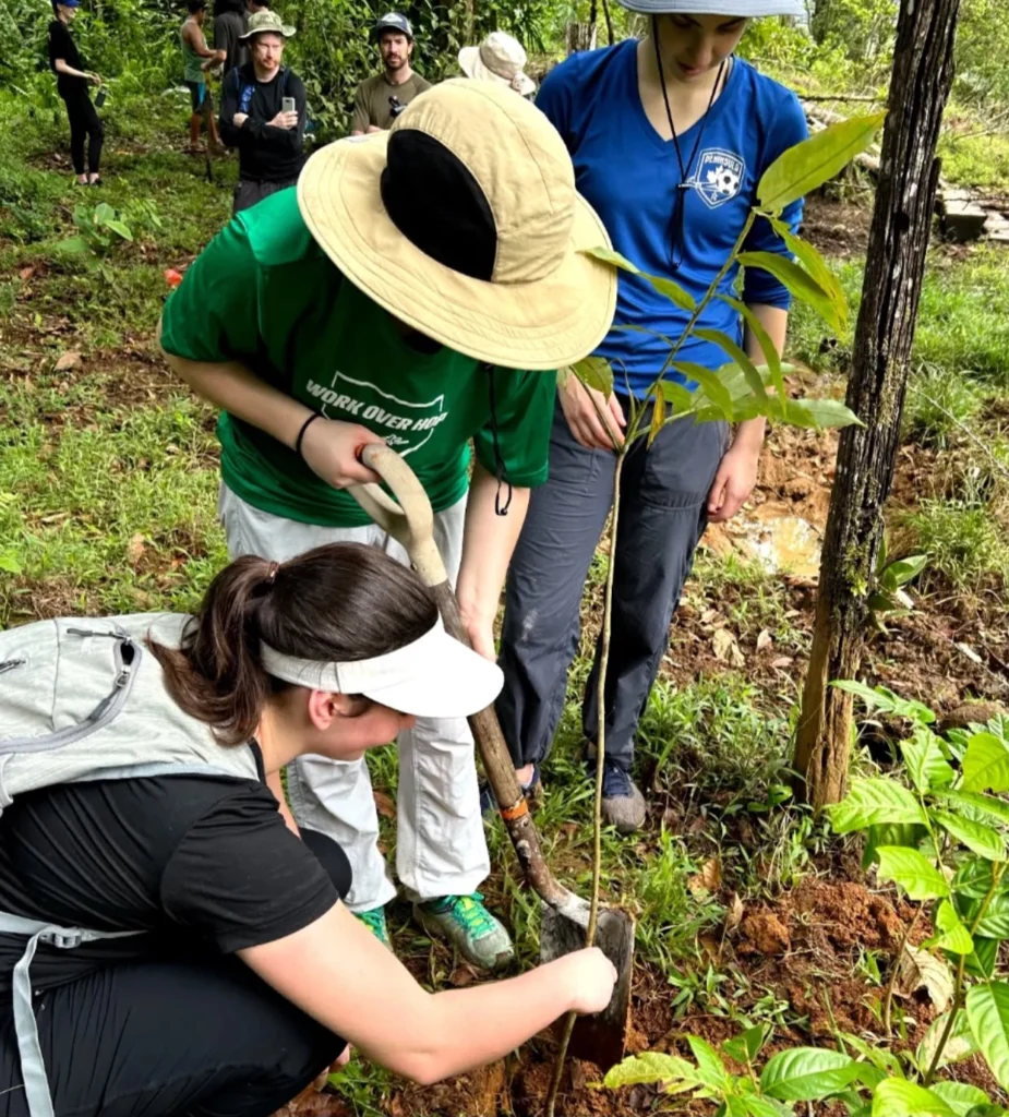 Volunteers planting tree in lush forest setting.